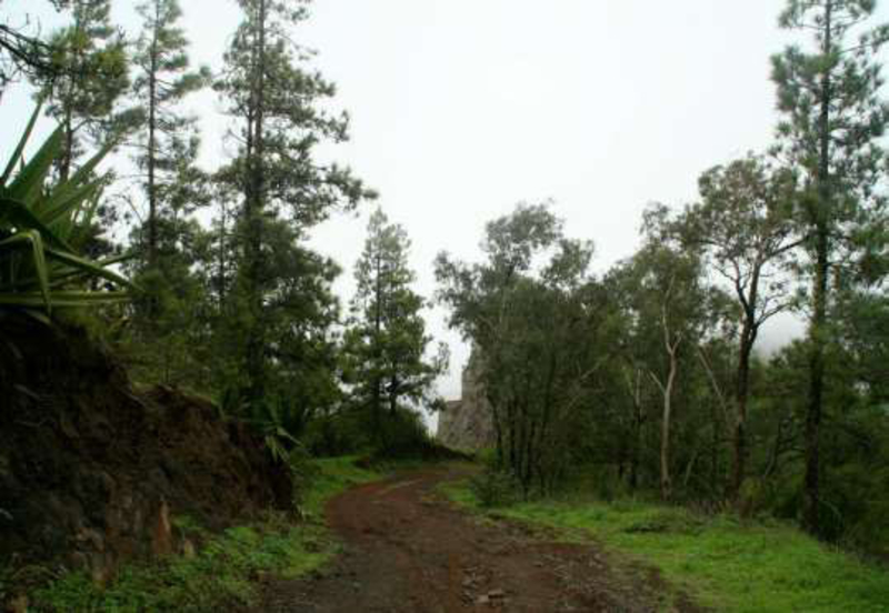 Entrada do Perímetro florestal da Serra da Malagueta