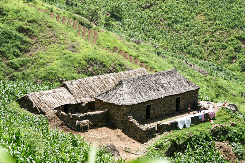 Serra da Malagueta, Casa típica