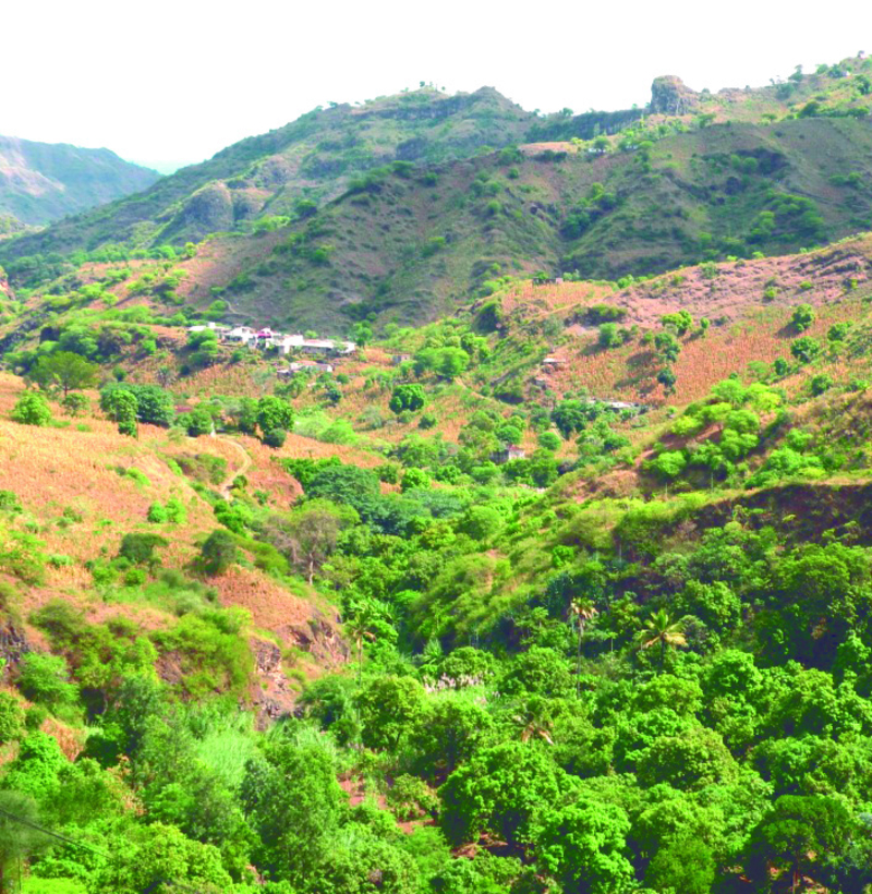 Ribeira de Laranjeira