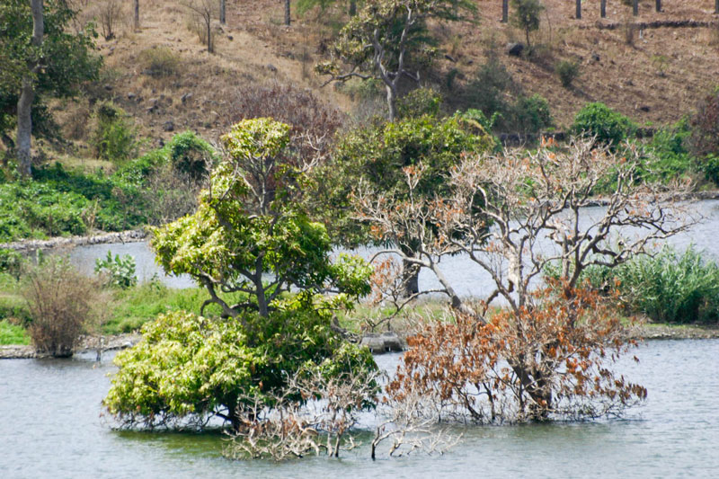 Barragem do Poilão, 2008