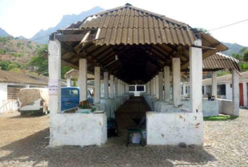 Mercado dos Orgãos