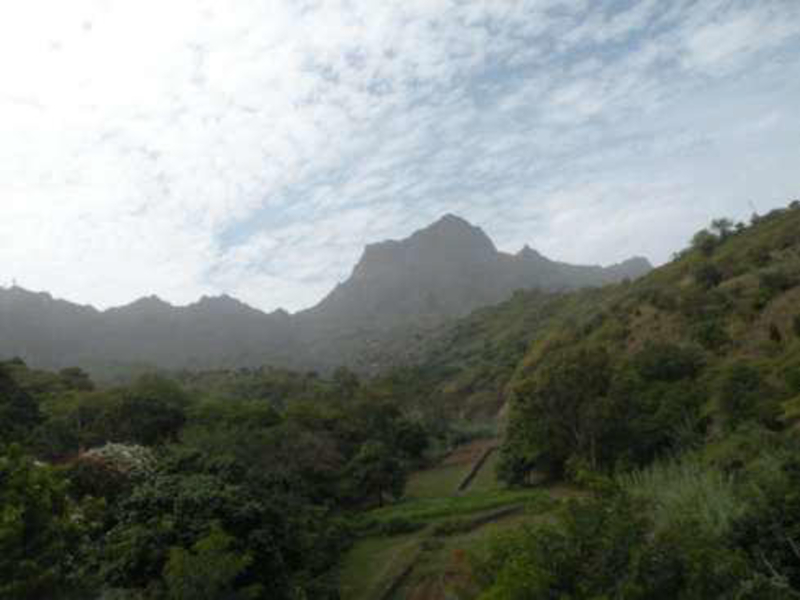 Perímetro Florestal de São Jorge