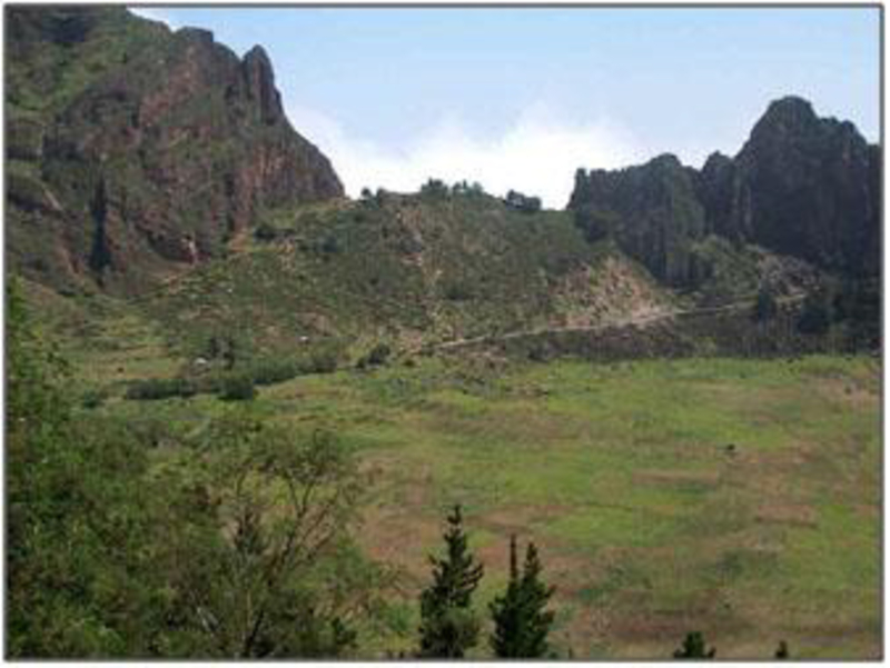 Cova - Paul